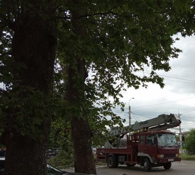 Прикрепленное изображение: Москольцо.22.05.23.рубка.4.jpg